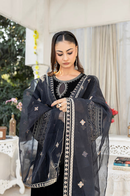 Black Velvet Frock